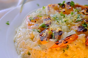 Fancy Italian Shrimp Risotto
