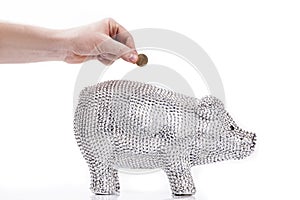 Fancy Piggy bank