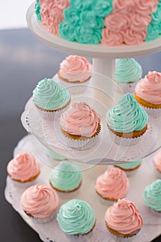 Fancy Pink and Green Cupcakes