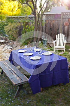 Fancy table setup in a garden