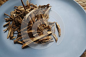 Fang feng or saposhnikovia divaricata siler roots close up look on neutral background.