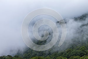 Fanjing Mountian in the Mist