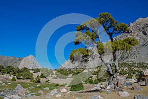 Fann mountains nature trekking in Tajikistan