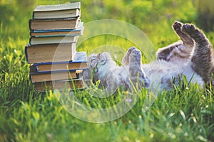 Fanny cat lying on the grass near pile of old books