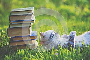 Fanny cat lying on the back on the grass near pile of old books