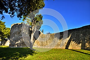 Fano is a popular seaside resort in the Marche region photo