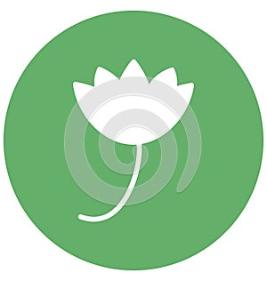 Fanoos flower Vector Icon which can easily modified or edit
