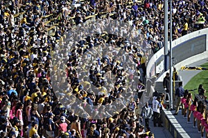 Fans at Cal Berkeley Game at California Memorial Stadium