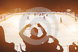 Fans on the hockey match photo