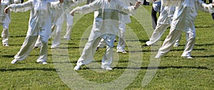 fans of martial arts Tai Chi with white silk dress during the co