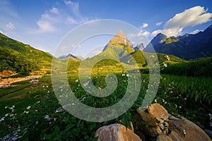 Fansipan mountain hills valley on summer with flowers and blue sky in travel trip and holidays vacation concept, Sapa, Vietnam.