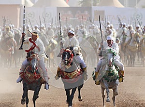 Fantasia show also called TBOURIDA in Morocco-Moussem Moulay Abdellah Amghar