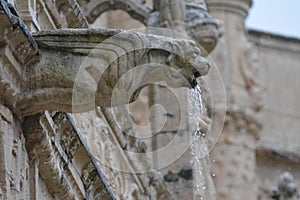 Fantastic animal-shaped gargoyle on the cathedral in Paris