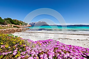 Fantastic azure water with rocks and lots of flowers at Doctors beach Spiaggia del Dottore near Porto Istana photo