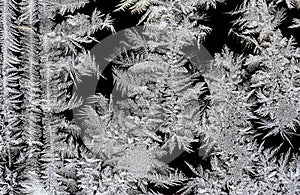 beautiful frosty patterns on the window glass