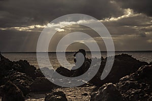 Fantastic big rocks and ocean waves at sundown time. Dramatic scene. Beauty world landscape