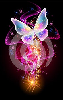 Fantastic butterfly and magical curving transparent waves with glowing stars on night dark background