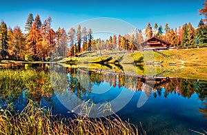 Fantastic colors view of Scin lake with yellow larch trees. Colorful sunny scene of Dolomite Alps, Cortina d`Ampezzo location,