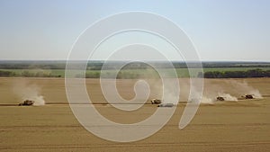 Fantastic drone shot behind wood on many harvesters which are going for harvesting grains of wheat 4K