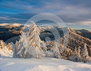 Fantastic evening winter landscape. Dramatic overcast sky. Beautiful winter evening in the mountain.