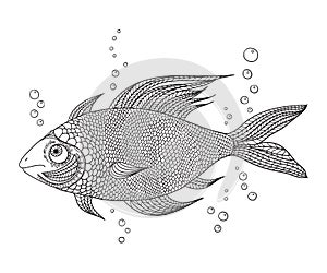 Black and white drawing of a fabulous swimming fish