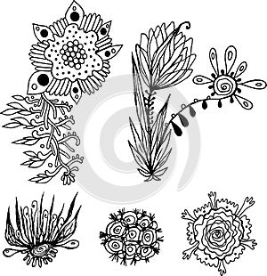 Fantastic floral elements set. Ink flowers collection. Outline botanical drawing art. Vector illustration