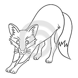 Fantastic Fox: A Cute Coloring Page for Kids