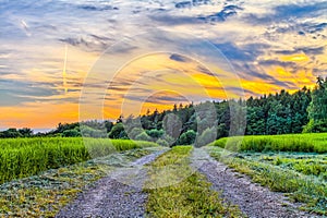 Fantastic Franconian Spring Landscape