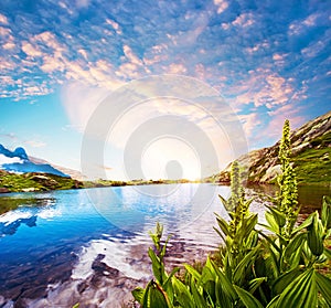 Fantastic landscape with mountains and the lake on the background of Mont Blanc, French Alps. (Harmony - concept)