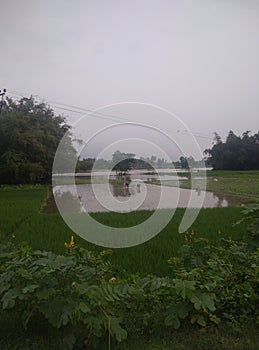 A FANTASTIC LANDSCAPE VIEW OF AN OPEN FIELD OF RURAL AREA OF BEAUTIFUL INDIA