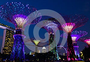 Fantastic light show in Singapore