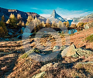 Fantastic morning view of Grindjisee lake with Matterhorn / Cervino peak on background. Wonderful autumn scene of Swiss Alps,