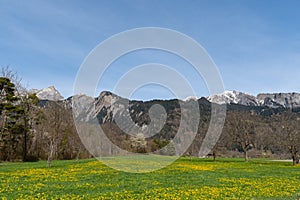 Fantastic mountain panorama near Maienfeld in Switzerland