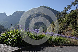 Fantastic Mountain View in Madeira