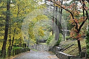 Fantastic Path through Sleepy Hollow Cemetery on a Rainy Fall Day, NY