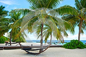 Fantastic peaceful view on innocent nature of paradise island with turquoise ocean,palms, hammock and sky