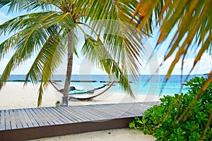 Fantastic peaceful view on innocent nature of paradise island with turquoise ocean,palms, hammock and sky