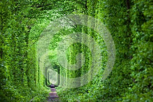Fantastic Real Tunnel of Love, green trees and the railroad
