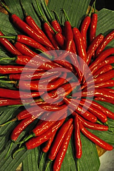 Fantastic red chili peppers fresh from Bali