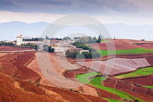 Fantastic scenery rural of south Yunnan, China. Beautiful wheat fields on the Red Land of Dongchuan. Two motorcycles on the road,