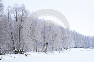 Fantastic scenic landscape on the shore of a snowy lake landscape Park tree branches in ice. Frozen pond pond field. Cloudy