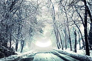 Fantastic snowy country road