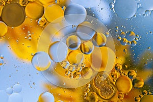 Fantastic structure of colorful oil bubbles. Chaotic motion. Bubbles oil drops on the water surface