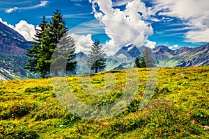 Fantastic summer view of mountain valley from the Oeschinen Lake. Gorgeous morning scene of Swiss Alps, Kandersteg village locatio