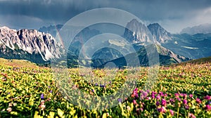 Fantastic summer view of Sassolungo Langkofel and Sella group, National Park Dolomites, South Tyrol, Italy, Europe. Splendid mor