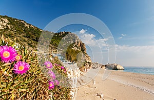 Fantastic Sunny Seascape with flowers on foreground. The famous Kathisma Beach, Lefkada Island, Greece. Kathisma Beach is one of