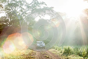 Fantastic sunrise shining through wild trees on the grassland and silver SUV car on the dirt road into the world heritage site,