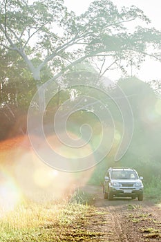 Fantastic sunrise shining through wild trees on the grassland and silver SUV car on the dirt road into the world heritage site,