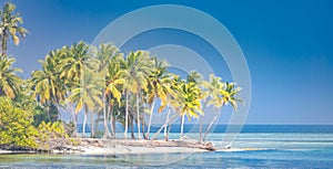 Fantastic tropical beach banner. Exotic landscape background concept. Palms on island tropical landscape