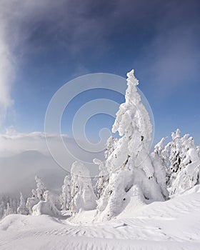 Fantastic winter landscape